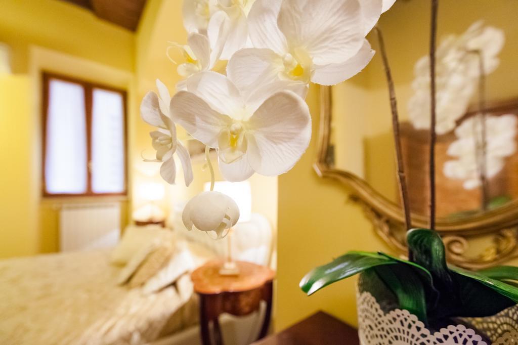 Apartamento Impero Vaticano Navona *